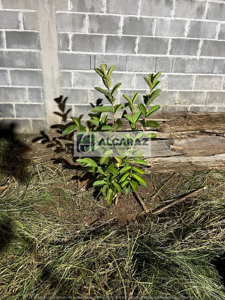 Terreno, 188 m² - Foto 5