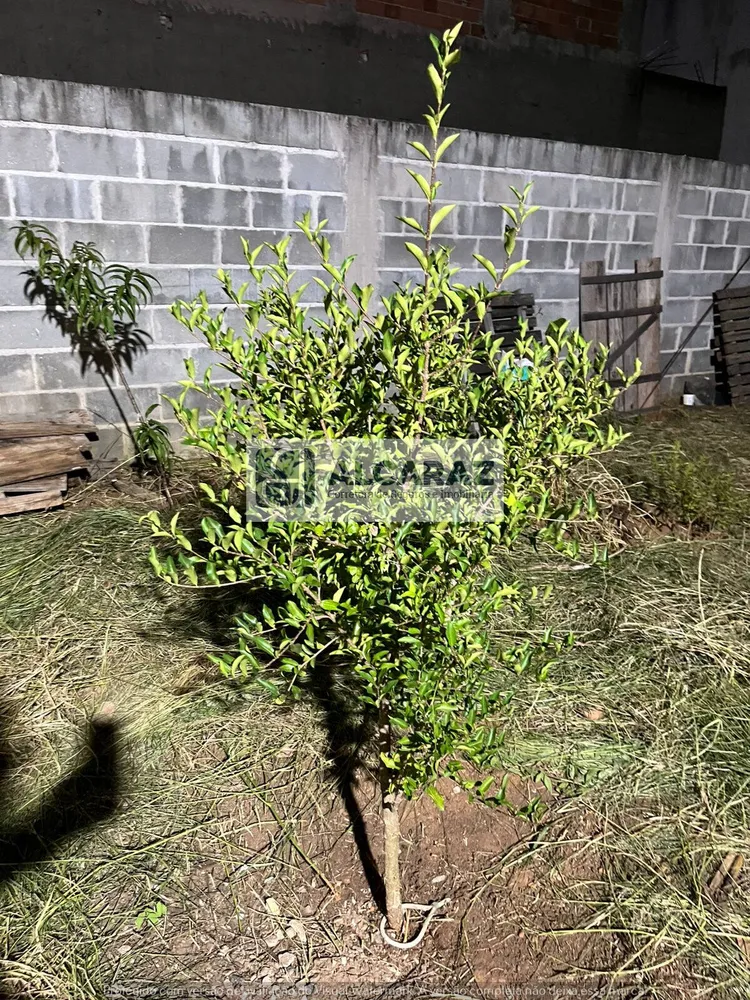 Terreno, 188 m² - Foto 4