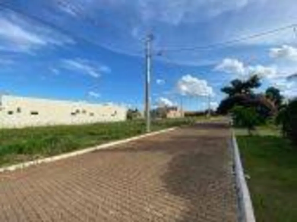 Casa, 5 quartos, 320 m² - Foto 14
