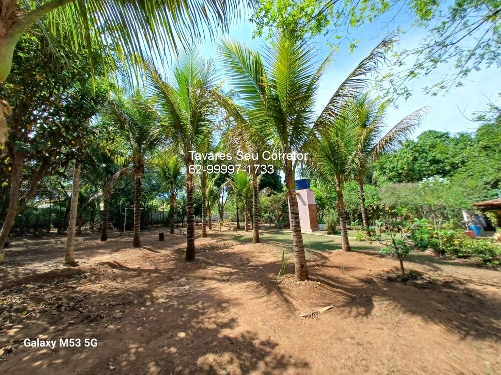 Chácara à venda - Foto 9