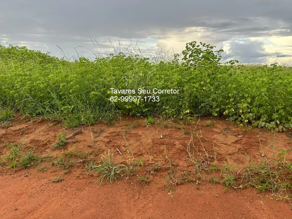 Fazenda - Foto 10