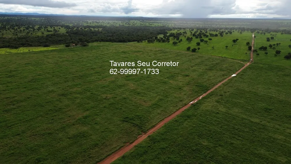 Fazenda - Foto 4