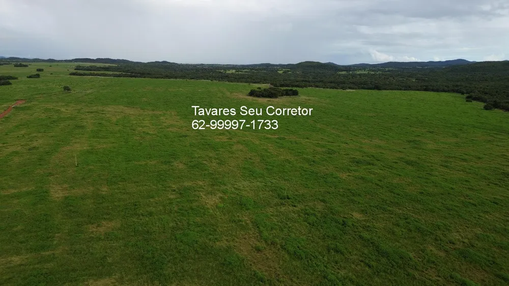 Fazenda - Foto 11