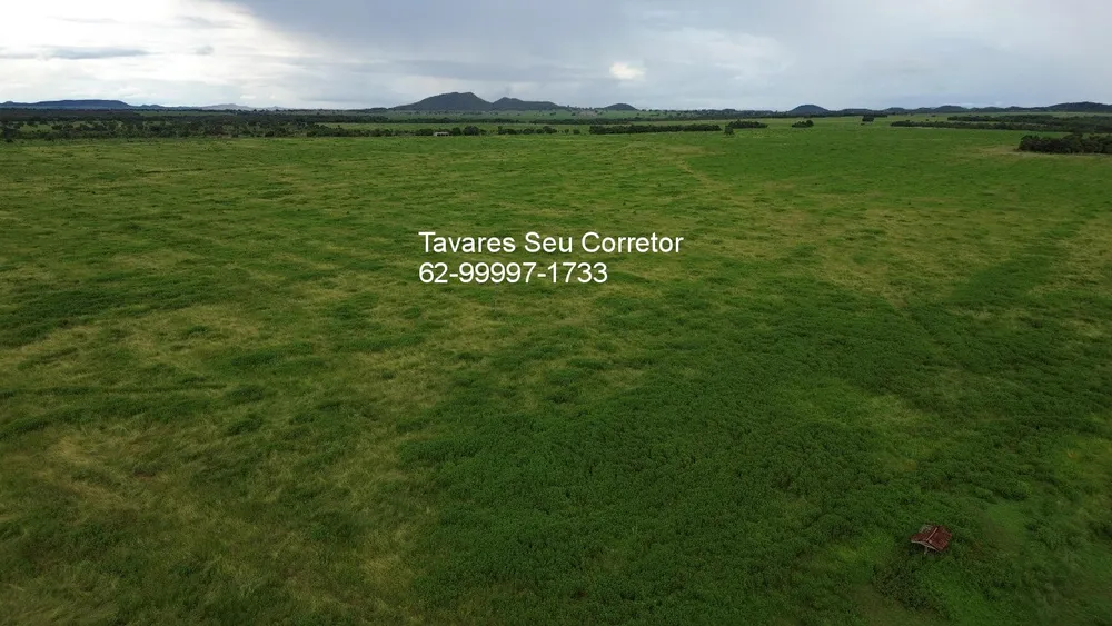Fazenda - Foto 7