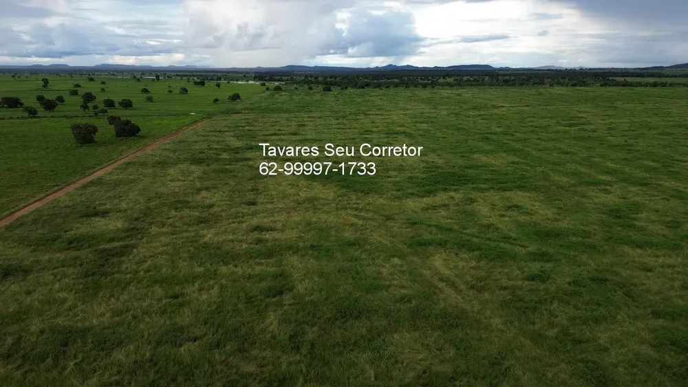 Fazenda - Foto 8