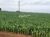 Terreno, 7000 m² - Foto 2