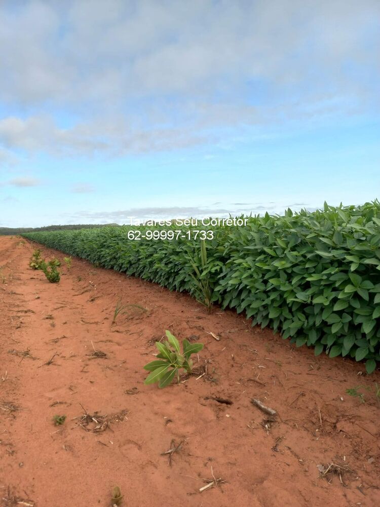Fazenda à venda - Foto 6