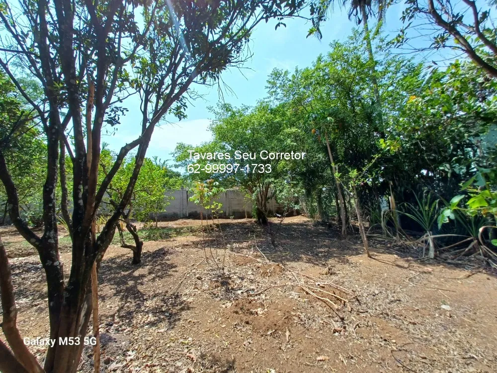 Chácara - Foto 1