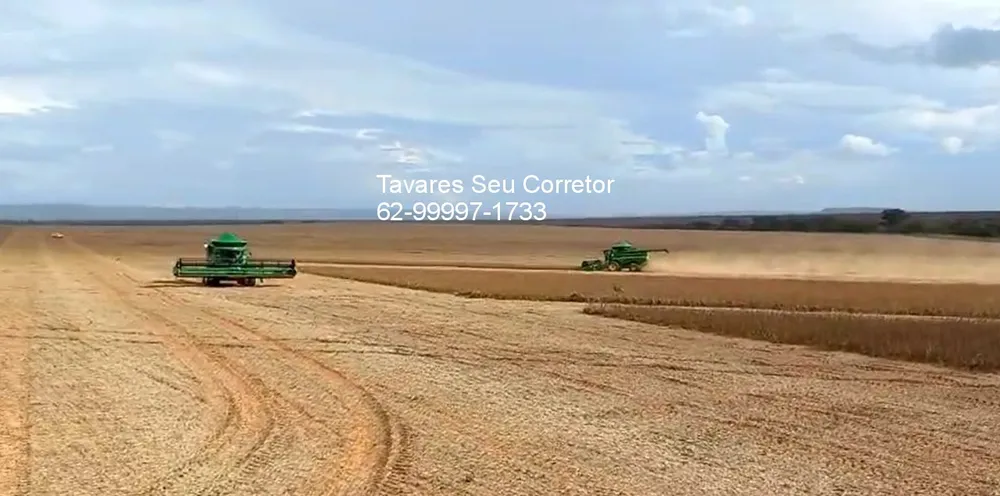 Fazenda - Foto 15