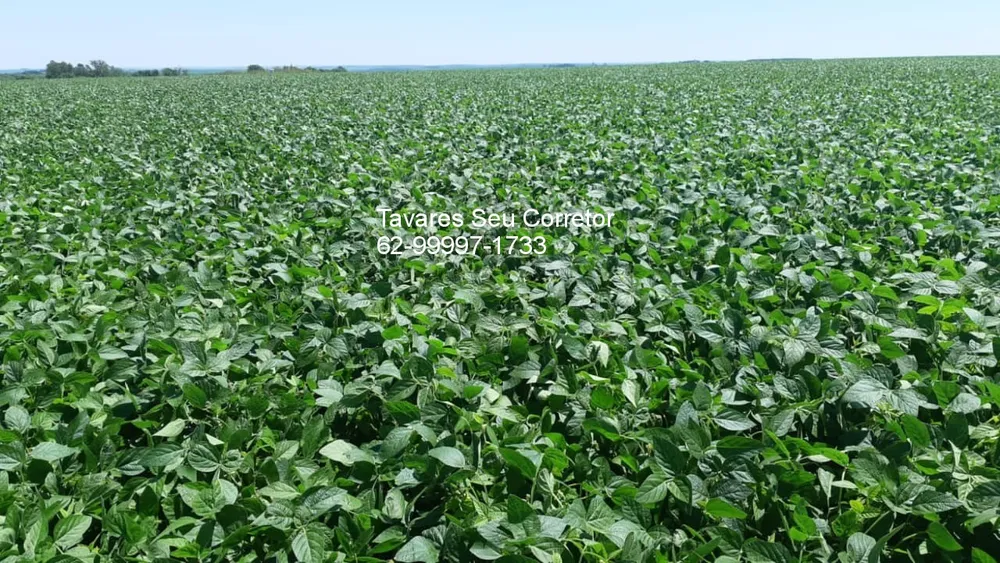 Fazenda - Foto 2