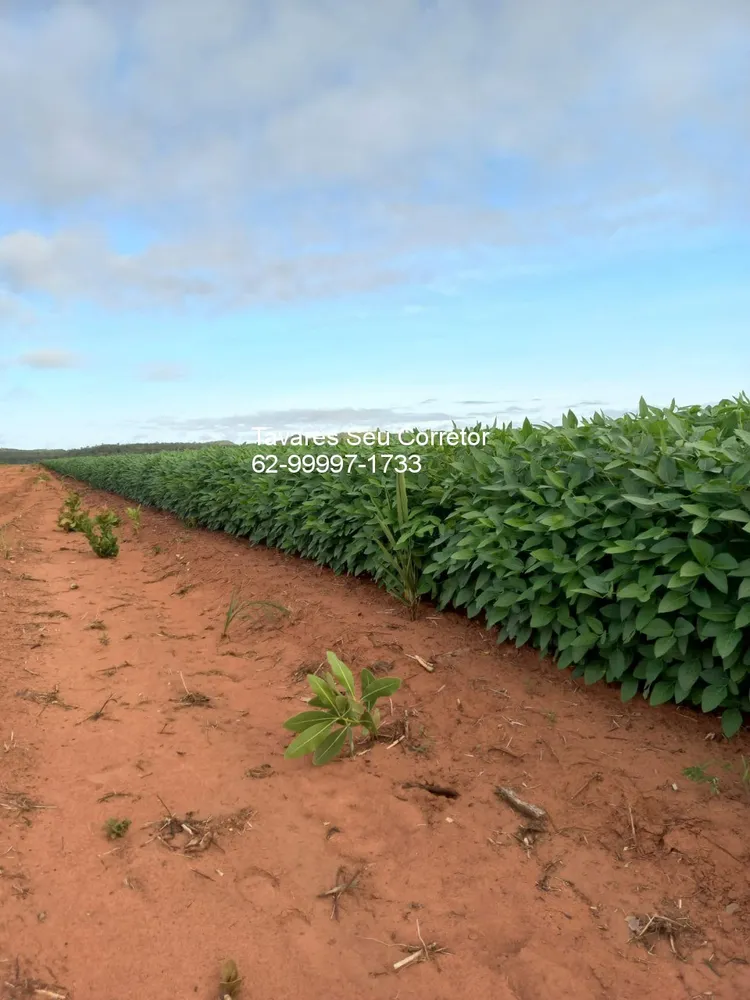 Fazenda - Foto 10