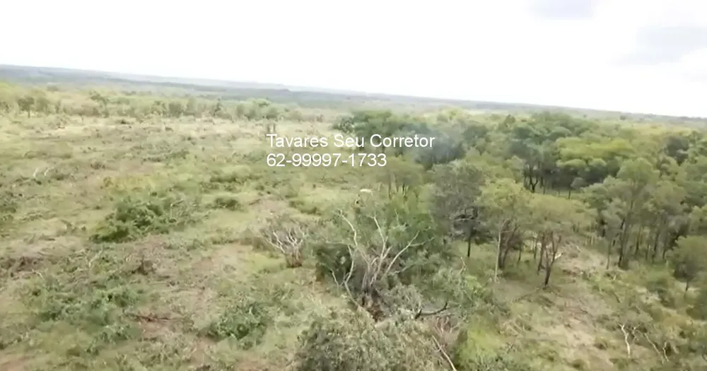 Fazenda - Foto 4
