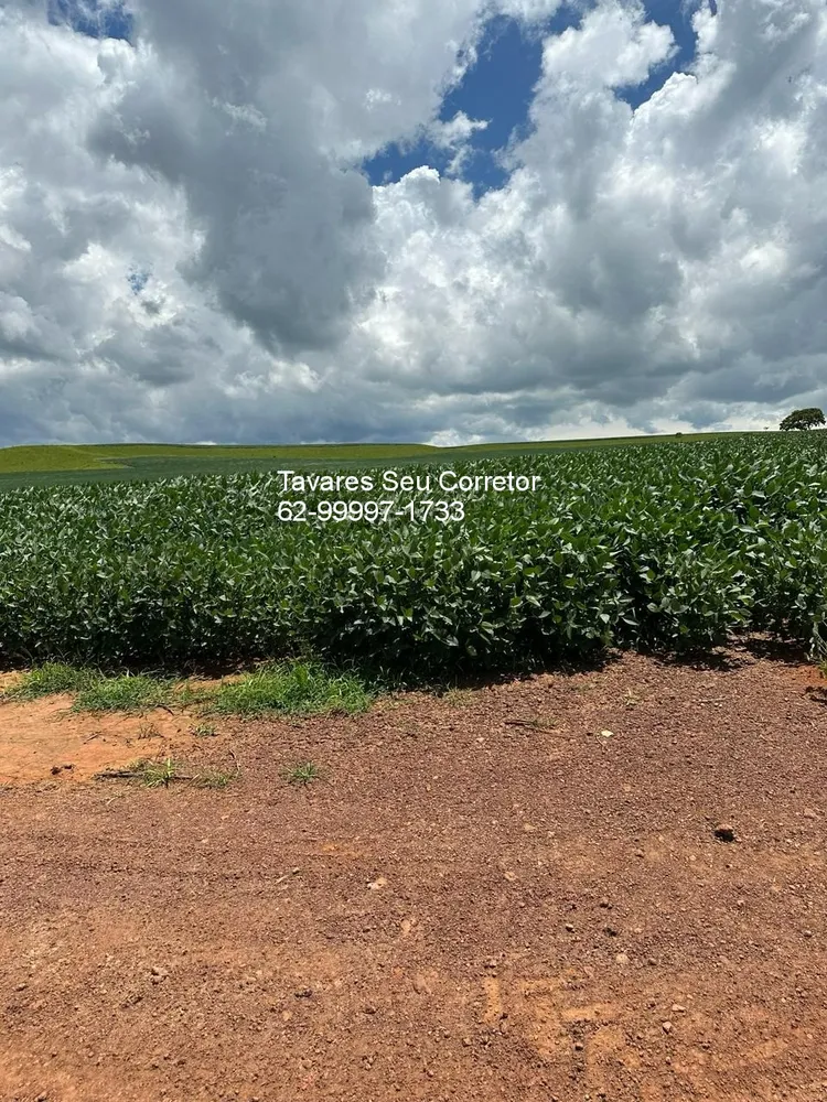 Fazenda - Foto 3