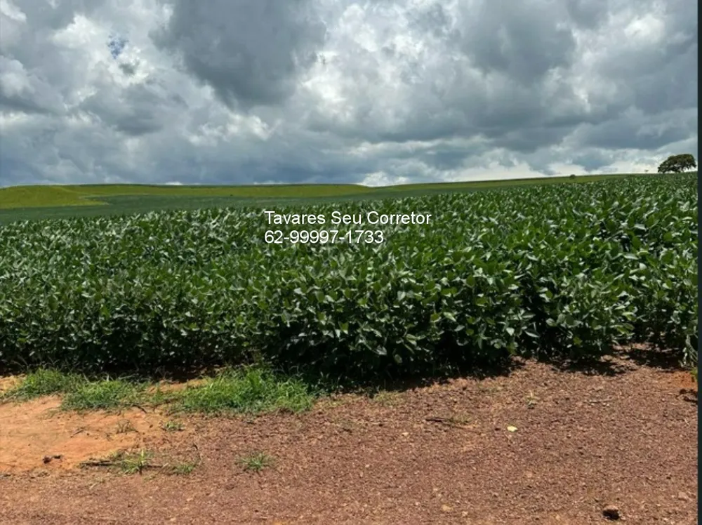 Fazenda - Foto 1