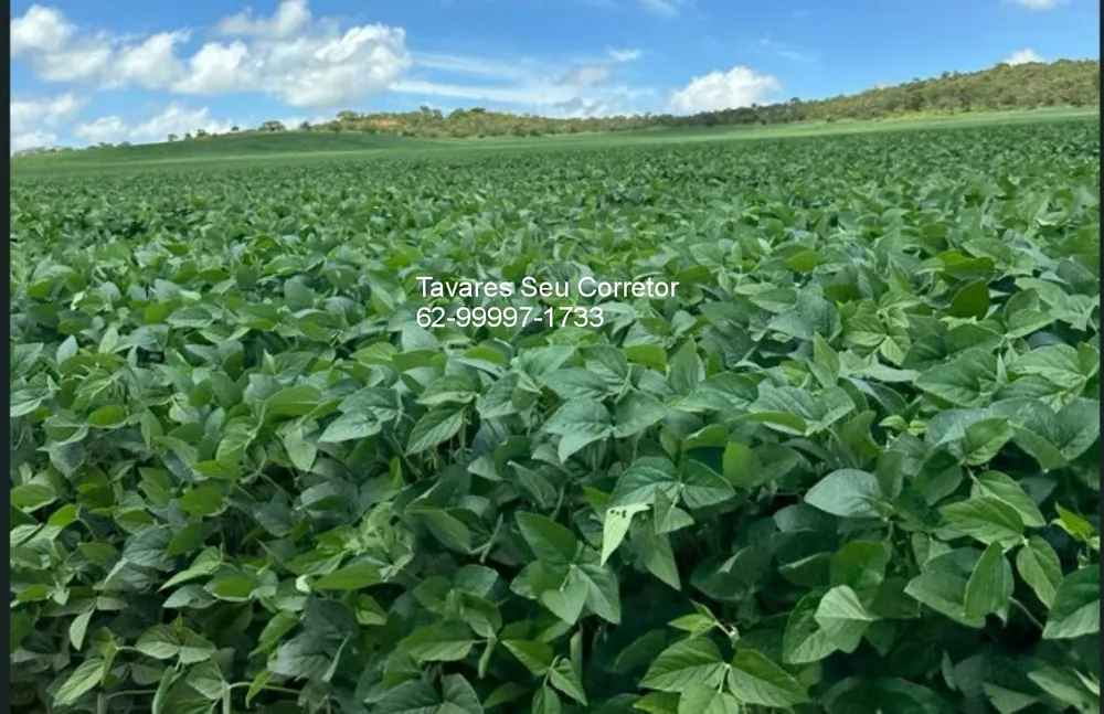 Fazenda - Foto 7