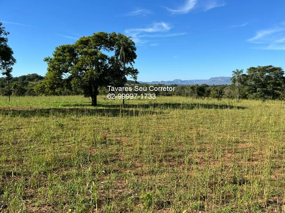 Fazenda - Foto 5