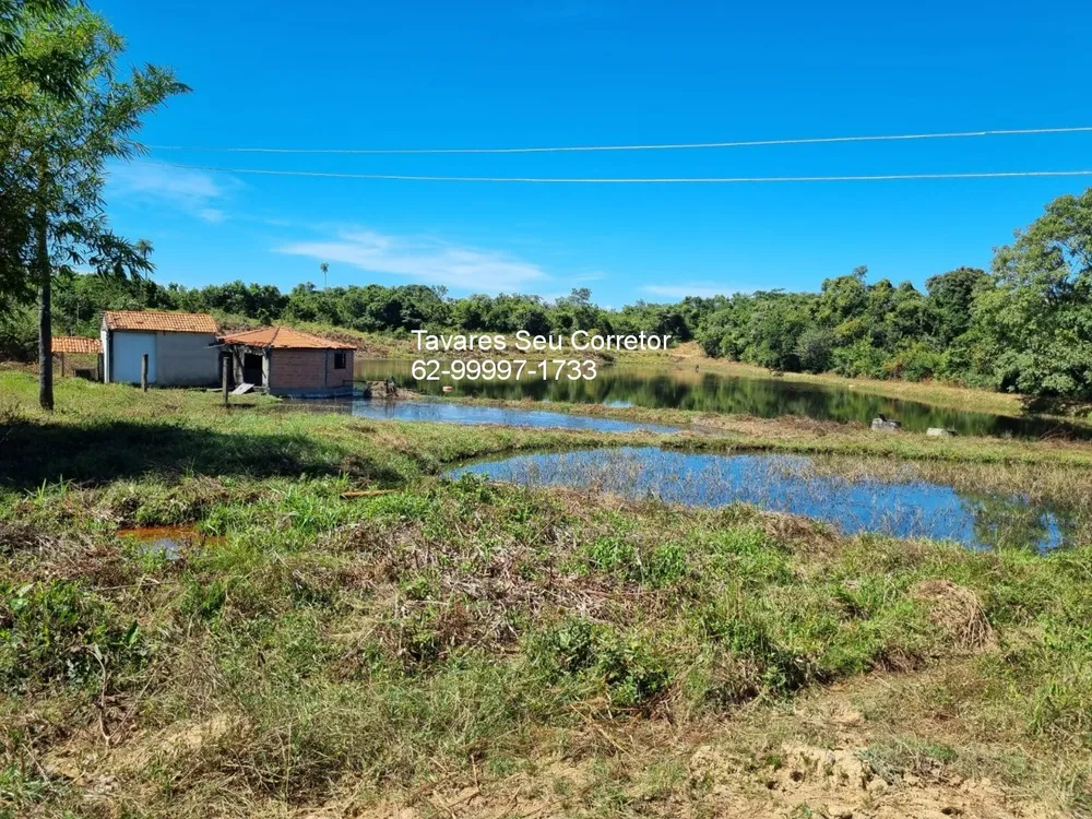 Fazenda - Foto 6