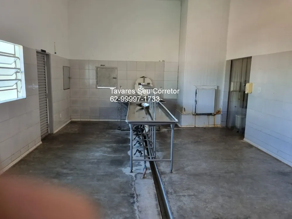 Fazenda - Foto 9
