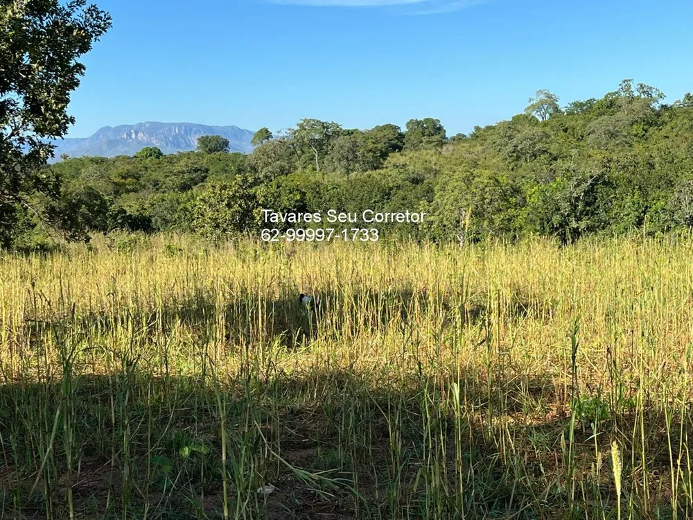 Fazenda - Foto 4