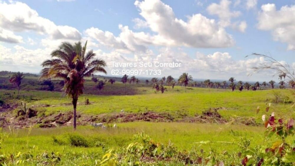 Fazenda à venda - Foto 4