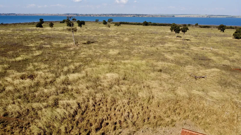 Fazenda - Foto 7