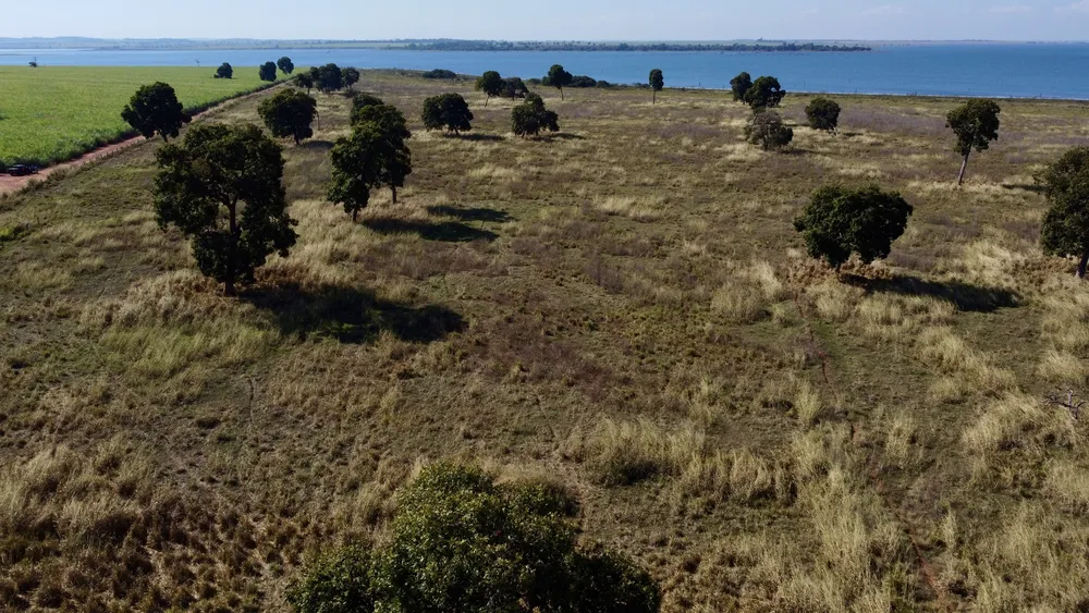 Fazenda - Foto 9