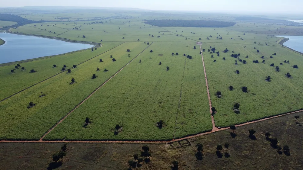 Fazenda - Foto 2
