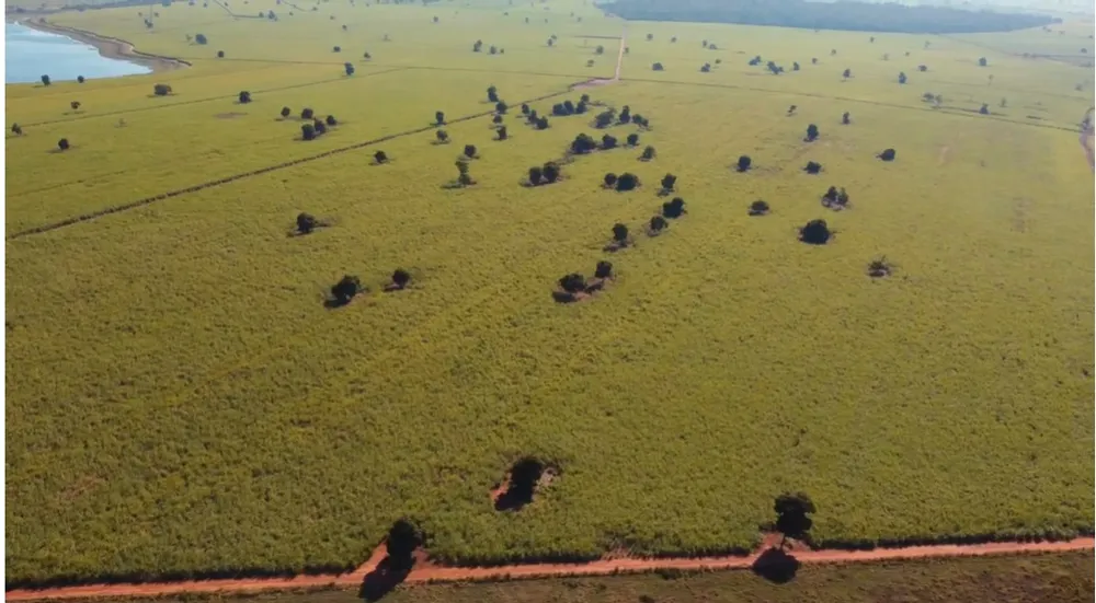 Fazenda - Foto 3