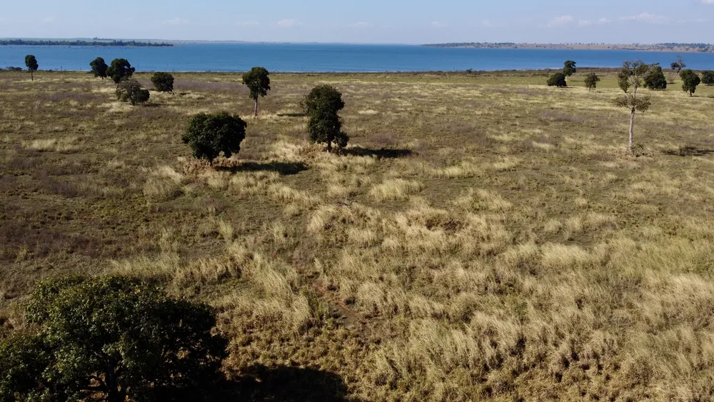 Fazenda - Foto 8