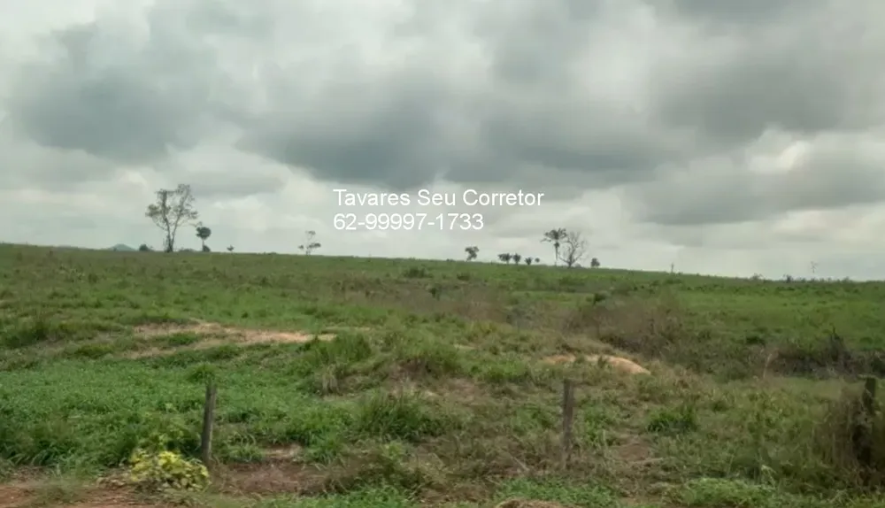 Fazenda - Foto 9