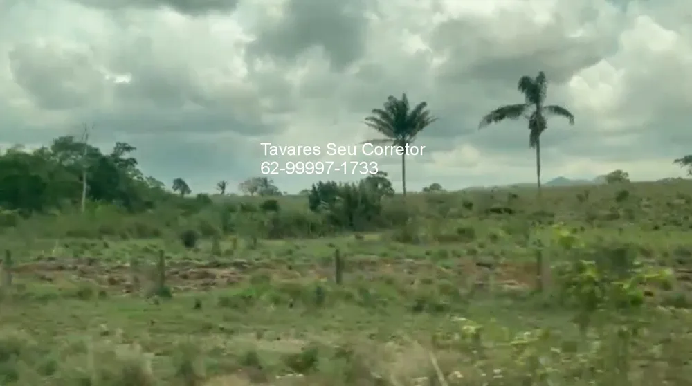 Fazenda - Foto 3