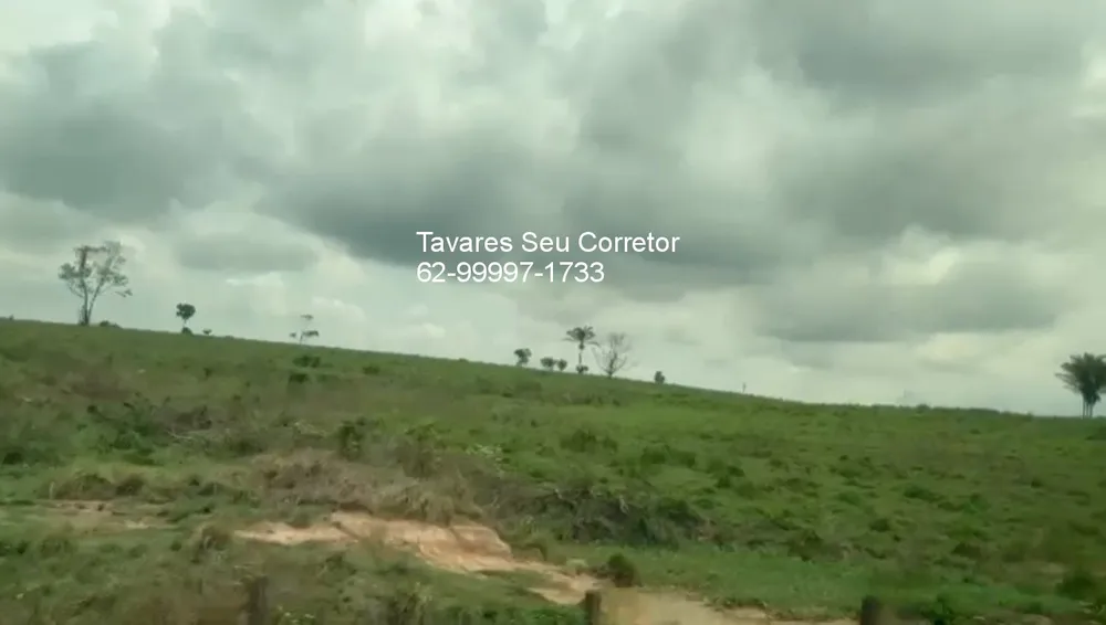 Fazenda - Foto 11