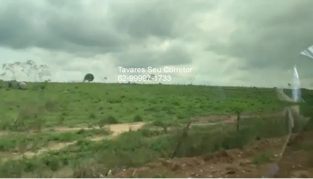 Fazenda - Foto 7