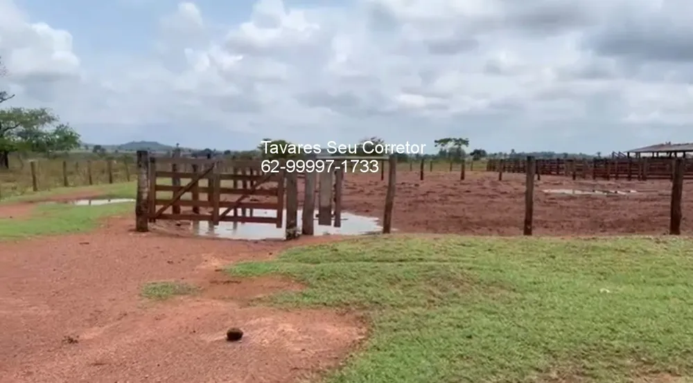 Fazenda - Foto 1