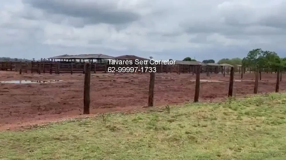 Fazenda - Foto 5
