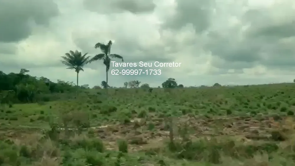 Fazenda - Foto 10