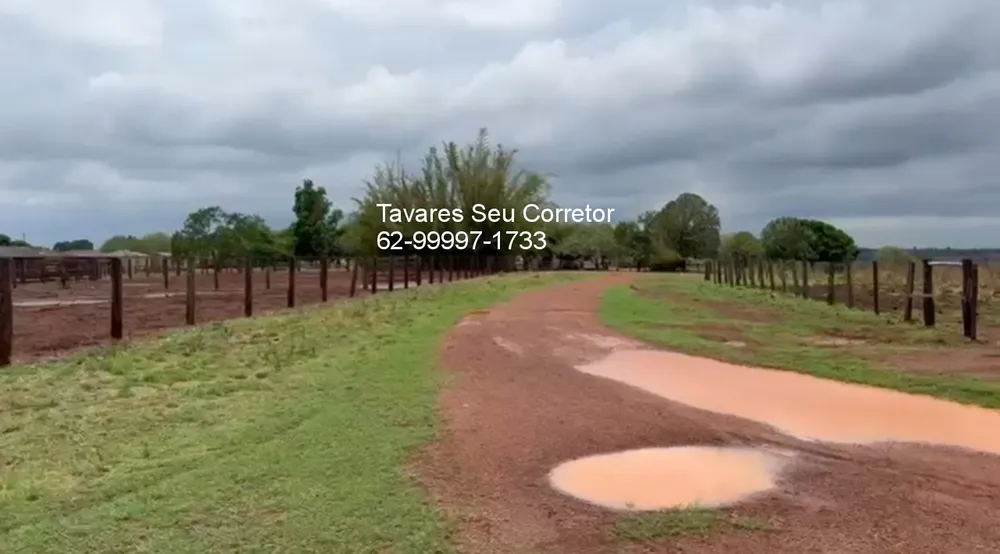 Fazenda - Foto 2