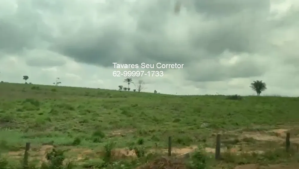Fazenda - Foto 12