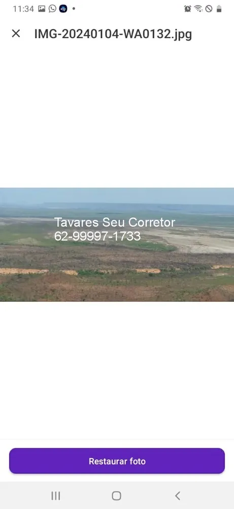 Fazenda - Foto 11