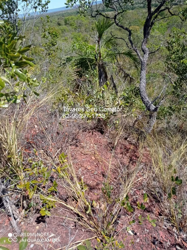 Fazenda - Foto 10