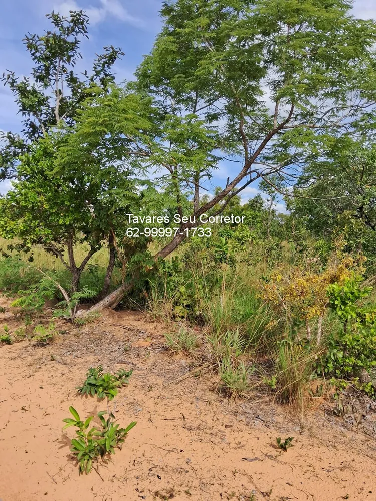Fazenda - Foto 4