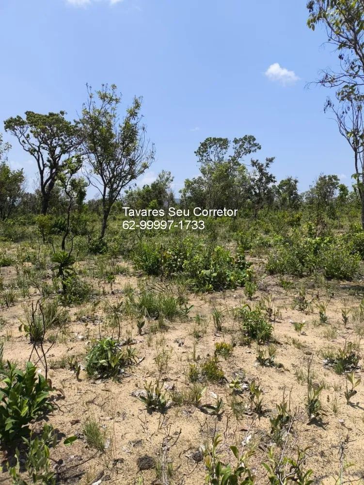 Fazenda - Foto 5
