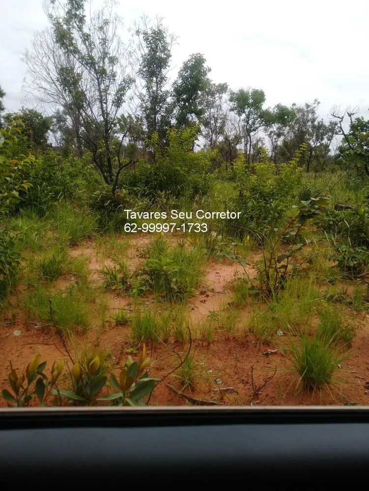 Fazenda - Foto 12