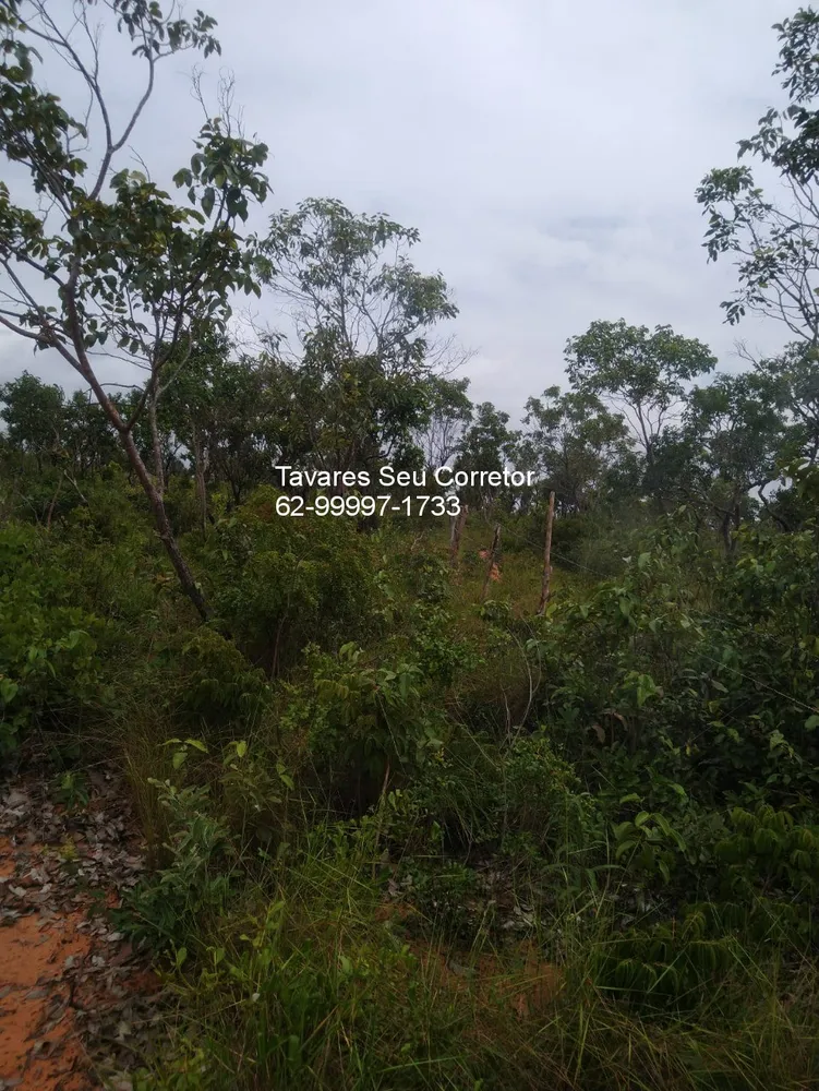 Fazenda - Foto 6