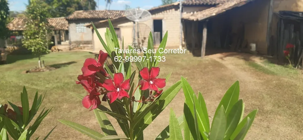 Fazenda - Foto 8