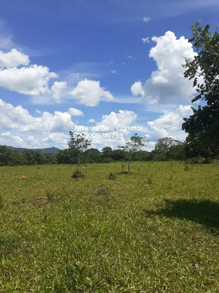 Fazenda - Foto 5