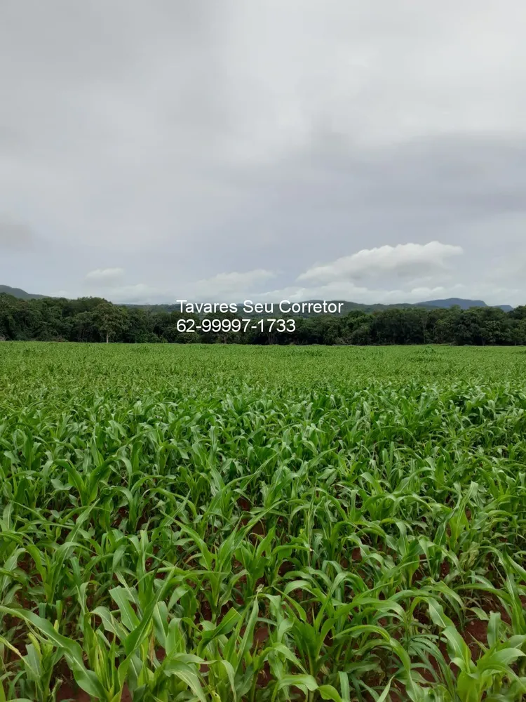 Fazenda - Foto 1