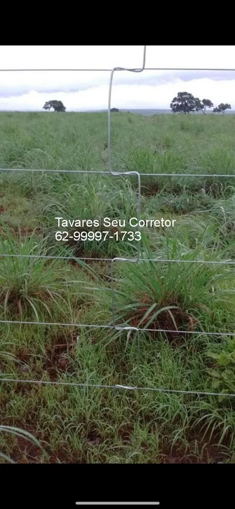 Fazenda, 8 hectares - Foto 6