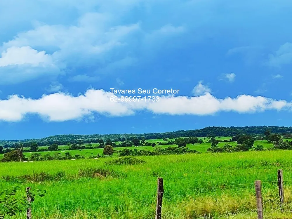 Fazenda, 8 hectares - Foto 1