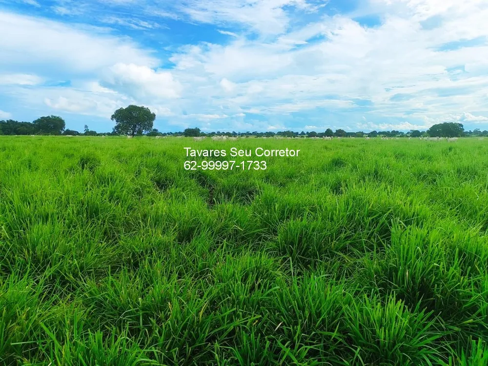 Fazenda, 8 hectares - Foto 12
